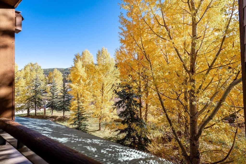 Ski-In/Ski-Out Zephyr 1 Bedroom Condo Winter Park Eksteriør billede